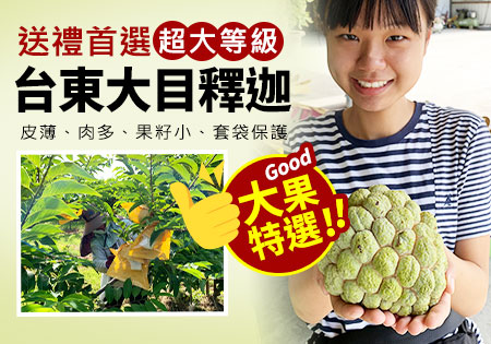 台東大目釋迦_夏果釋迦202207
