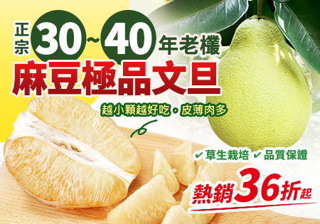 台南麻豆_正宗30~40年老欉麻豆文旦202208