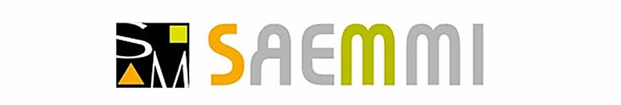 【SAEMMI】極選碳鋼炒鍋30CM