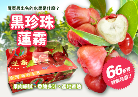 泰吉屏東黑珍珠蓮霧