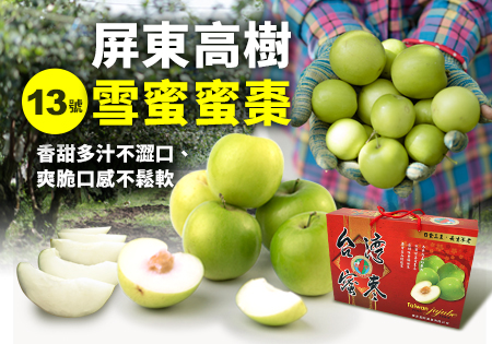 泰吉屏東高樹13號雪蜜蜜棗
