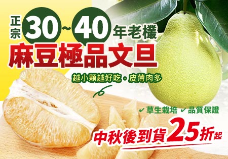 台南麻豆_正宗30~40年老欉麻豆文旦(中秋後到貨)202208