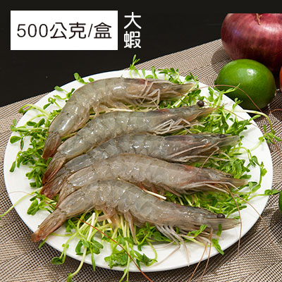卡馬龍巨無霸 美洲白晶蝦(30/40)500公克/盒