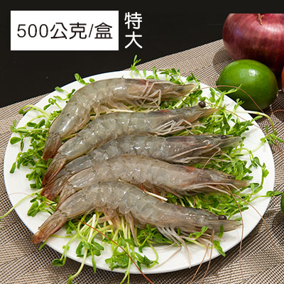 卡馬龍巨無霸 美洲白晶蝦(20/30)500公克/盒