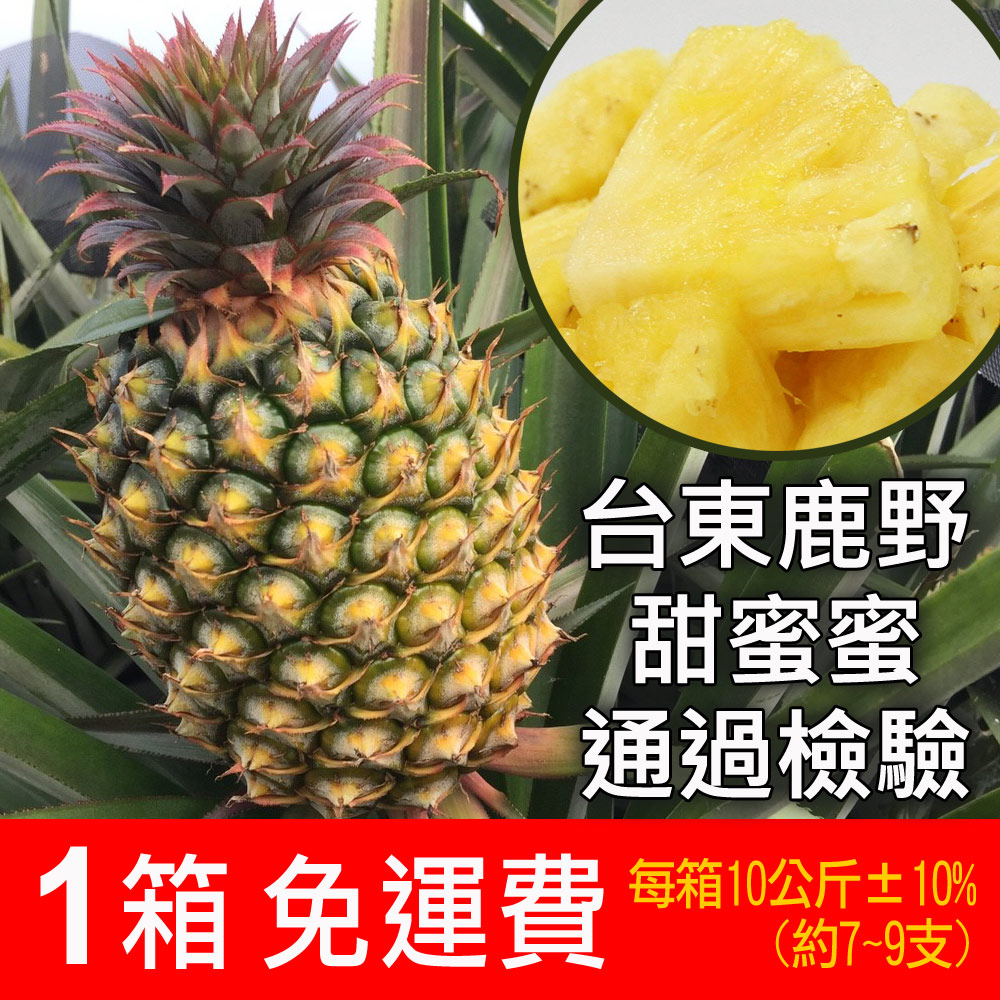 鳳梨 陽光菓菓_零添加金鑽鳳梨乾陽光菓菓.sunnygogo | 光與熱濃縮的美好
