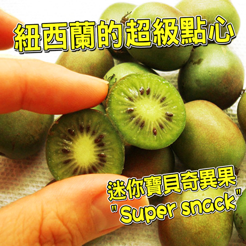 紐西蘭kiwi Baby 迷你奇異果