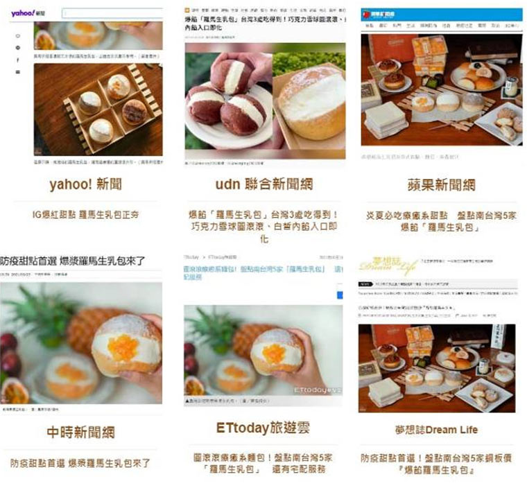 眾多媒體報導