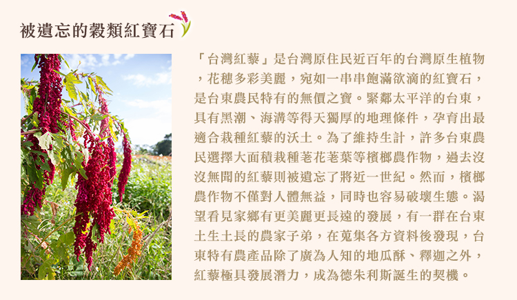德朱利斯-被遺忘的穀類