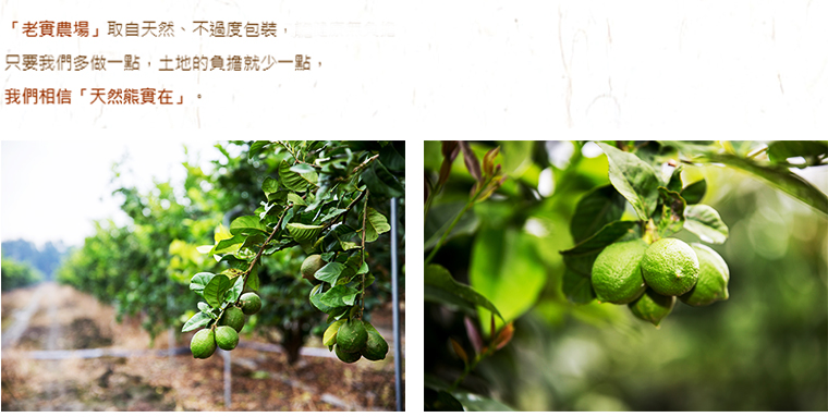 品牌故事-老實農場取自天然、不過度包裝