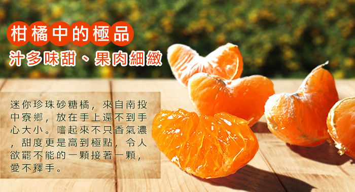 柑橘中的極品