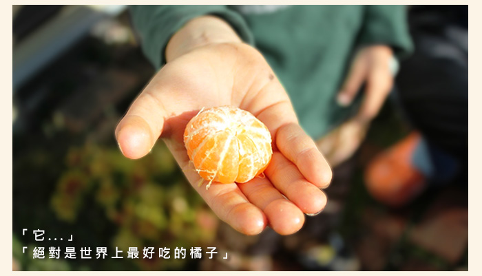 它~絕對是世界上最好吃的橘子，您試過必知曉