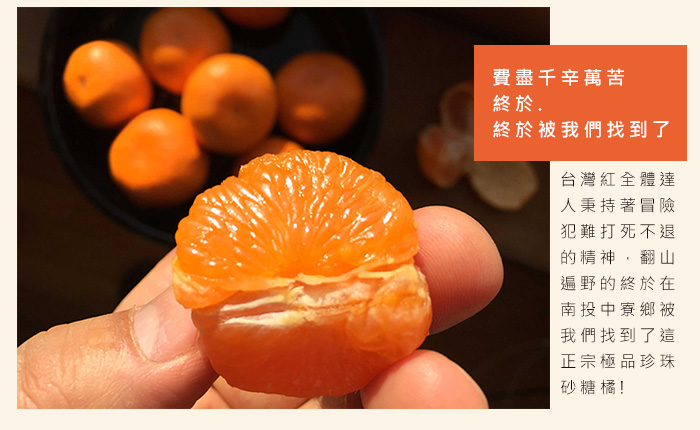 費盡千辛萬苦，終於~終於被我們找到了!!