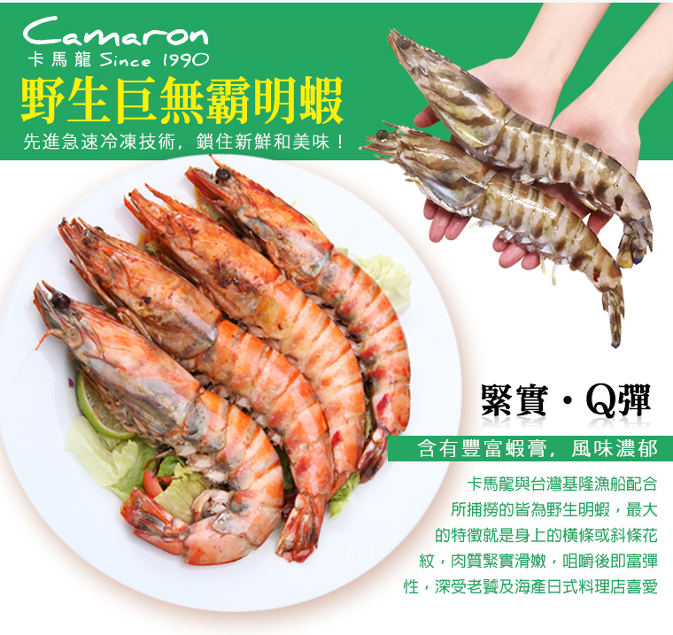 野生巨無霸明蝦 