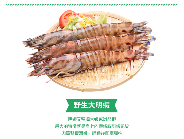 野生大明蝦