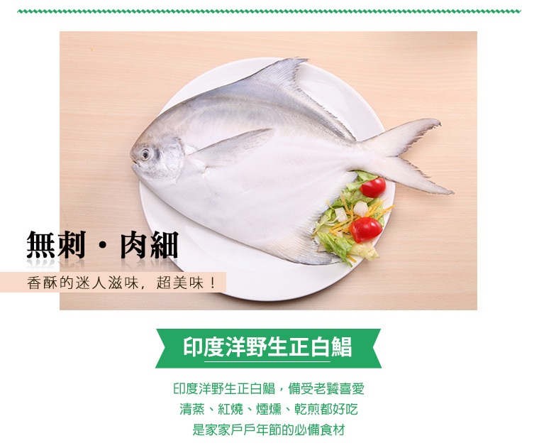 印度洋野生正白鯧