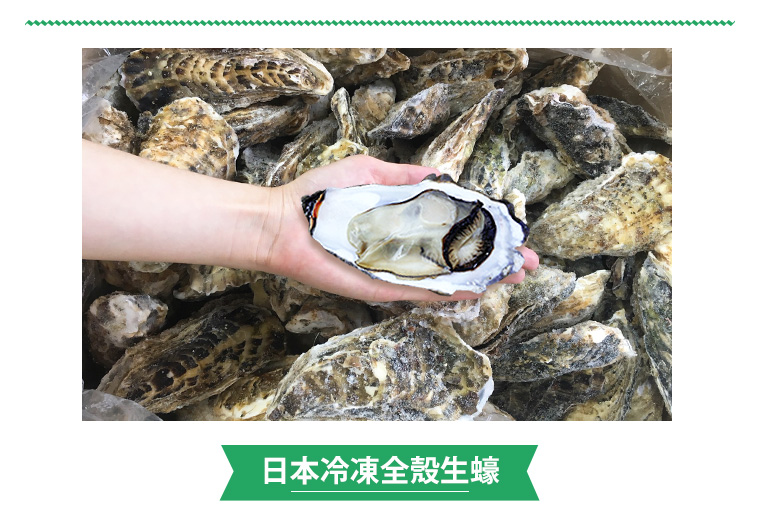 日本冷凍全殼生蠔 
