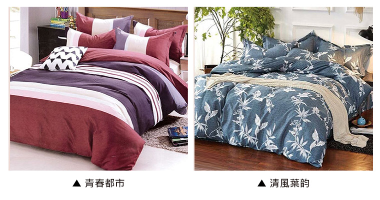 青春都市/清風葉韵