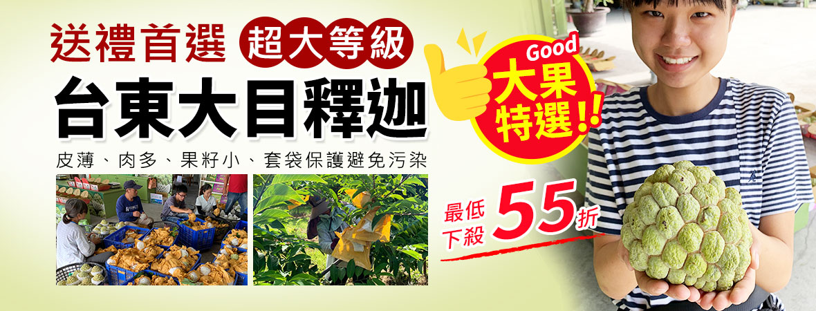 台東大目釋迦_ 夏果釋迦202407