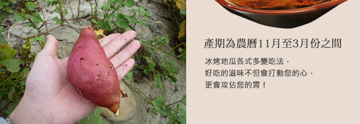 產期為農曆11月至3月份之間