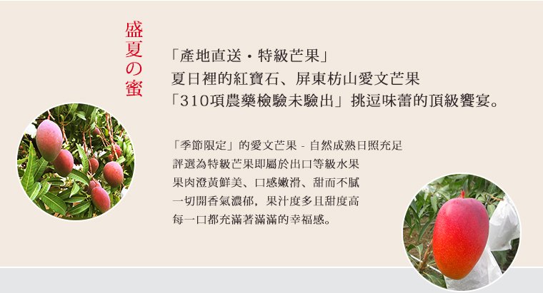產地直送特級芒果