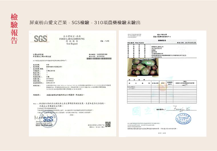 檢驗報告