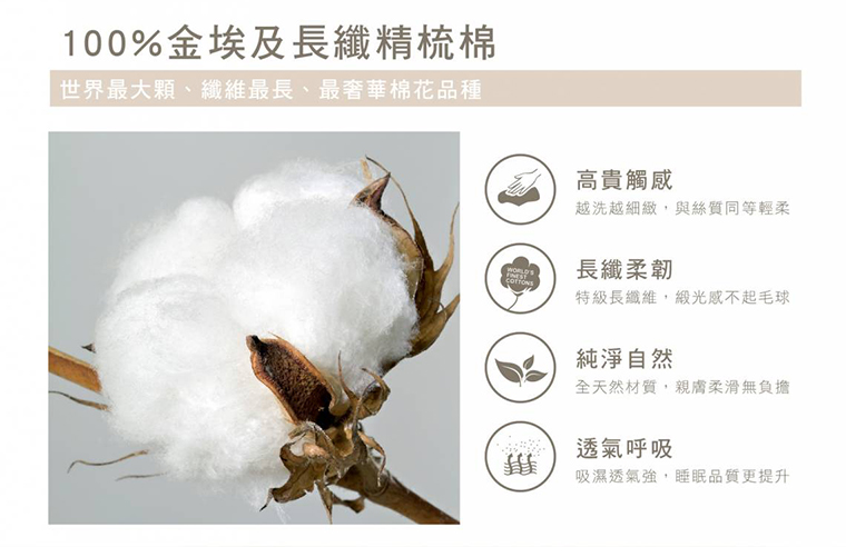 100%金埃及長纖精梳棉