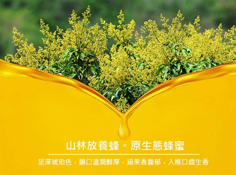頂級龍眼蜂蜜420g