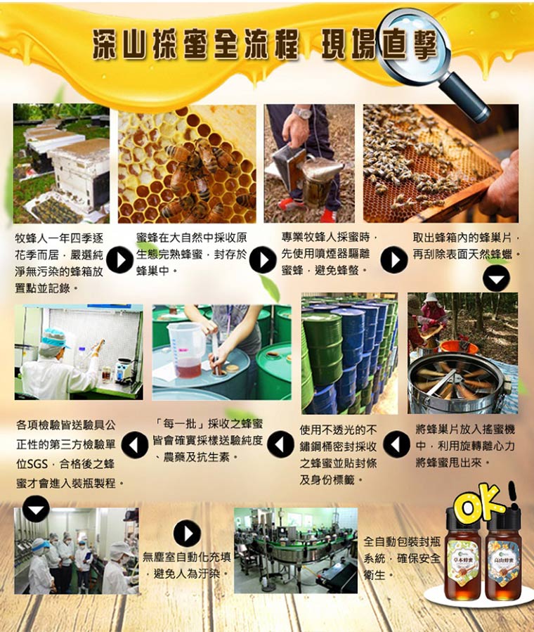 深山採蜜全流程