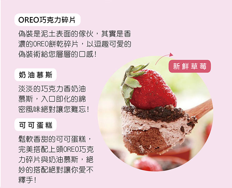 盆栽提拉米蘇蛋糕