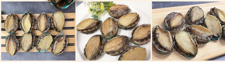 頂級活凍帶殼鮑魚