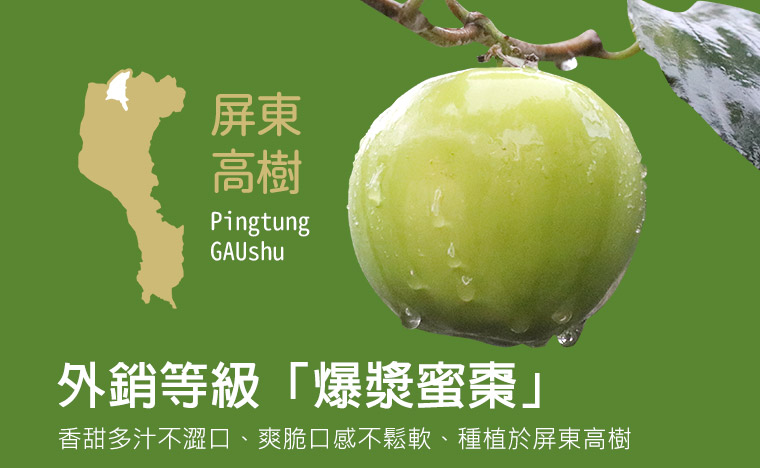 外銷等級的爆漿蜜棗