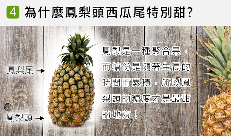 為什麼鳳梨頭西瓜尾特別甜?