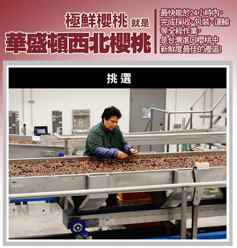 美國華盛頓空運櫻桃 