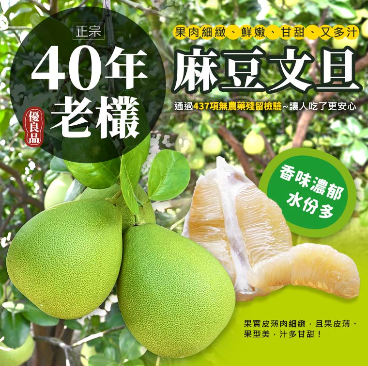 正宗40年老欉麻豆文旦