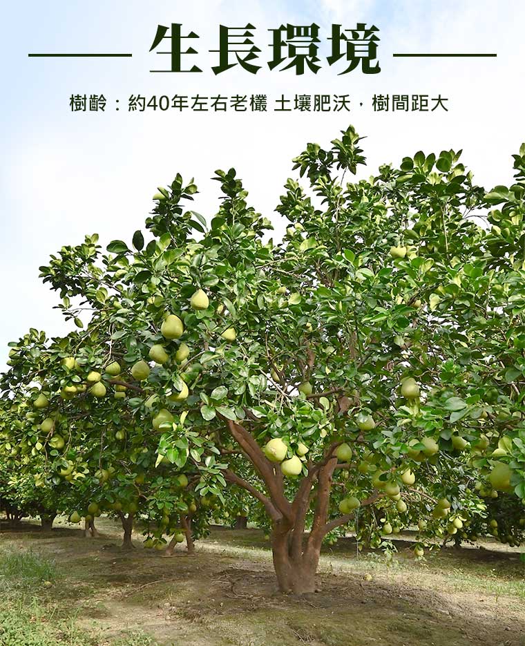 生長環境