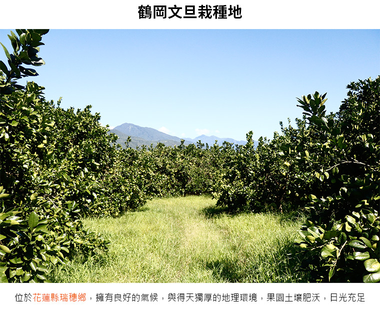 位於花蓮縣瑞穗鄉，擁有良好的氣候，與得天獨厚的地理環境，果園土壤肥沃，日光充足