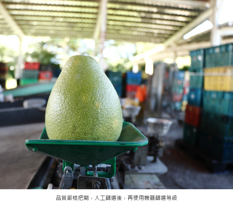 品質嚴格把關，人工篩選後，再使用機器篩選等級