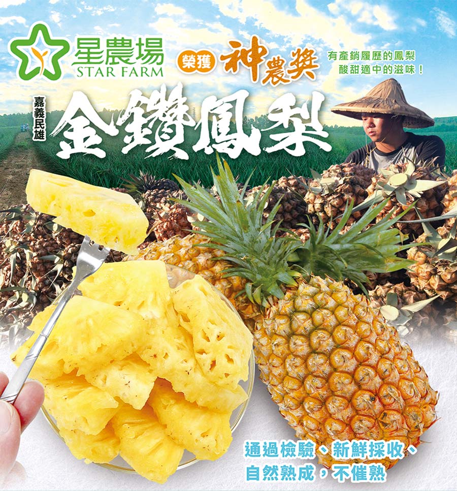 星農場金鑽鳳梨榮獲神農獎
