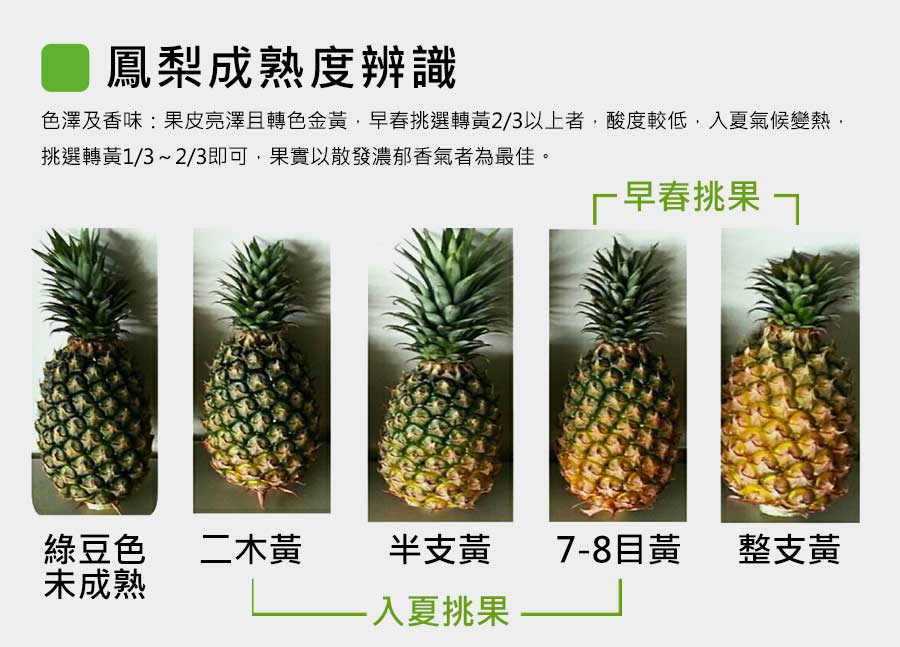 鳳梨成熟度辨識