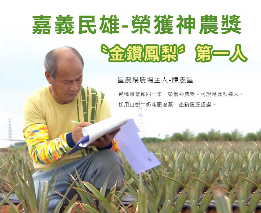 鳳梨達人嘉義民雄榮獲神農獎