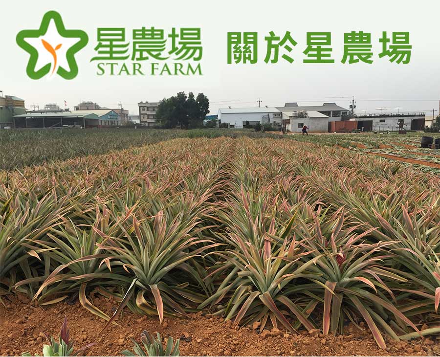 關於星農場