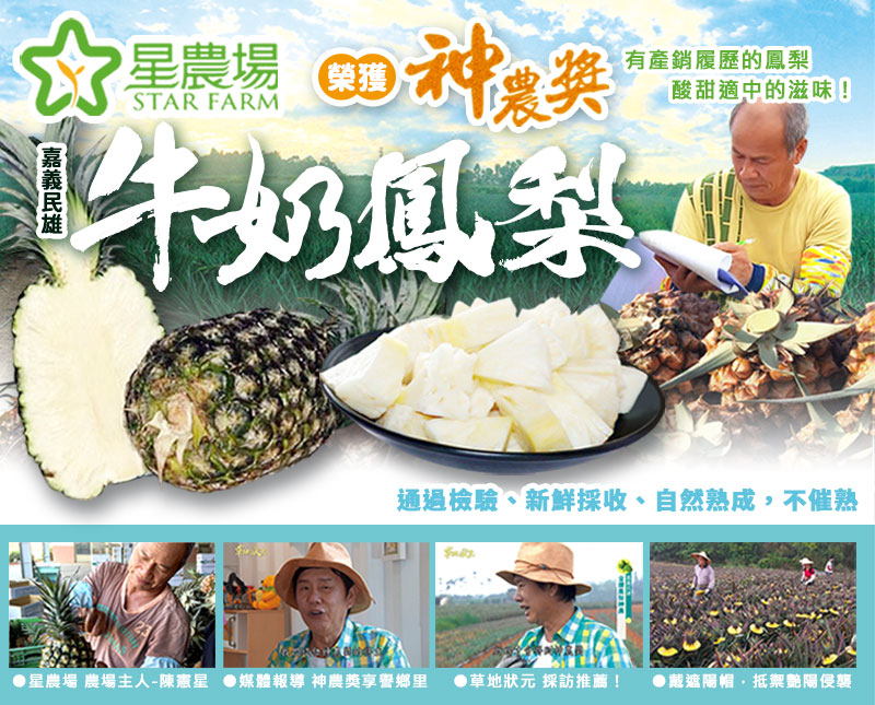 星農場~嘉義民雄神農獎牛奶鳳梨，通過檢驗、新鮮採收、自然熟成，不催熟
