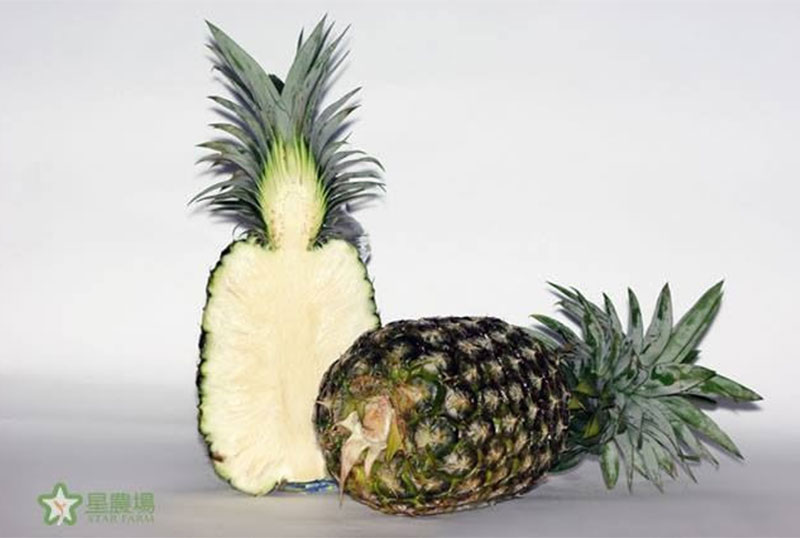 牛奶鳳梨，肉質細緻，甜度高