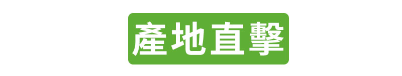 產地直擊
