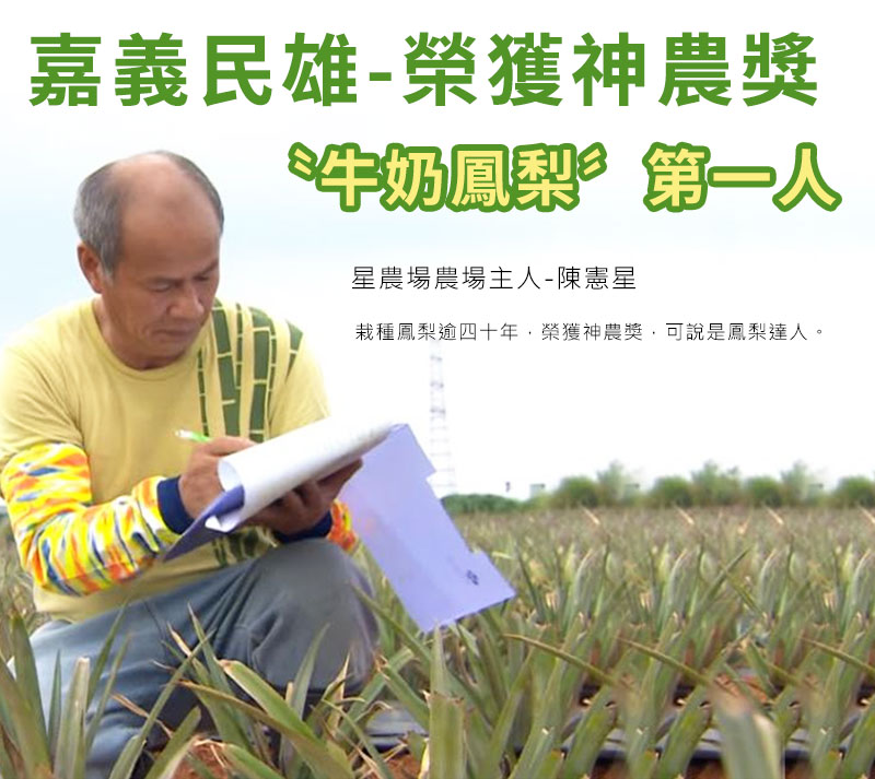嘉義民雄-榮獲神農獎第一人，農產主人陳憲星，栽種鳳梨超過40幾年，榮獲神農獎，可說是鳳梨達人