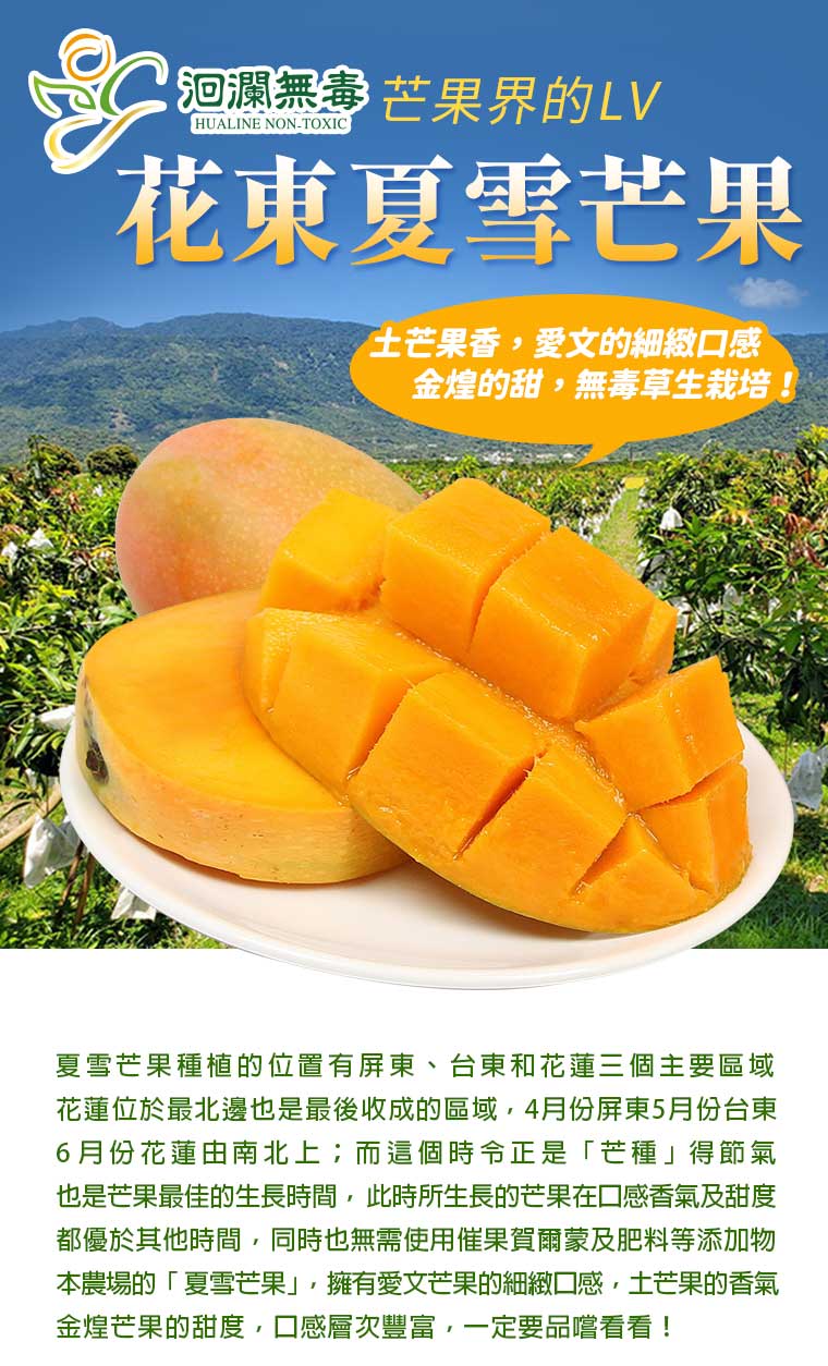 6月份花蓮由南北上；而這個時令正是「芒種」得節氣，也是芒果最佳的生長時間，此時所生長的芒果在口感香氣及甜度都優於其他時間，同時也無需使用催果賀爾蒙及肥料等添加物。本農場的「夏雪芒果」，擁有愛文芒果的細緻口感，土芒果的香氣，金煌芒果的甜度，口感層次豐富，一定要品嚐看看！
