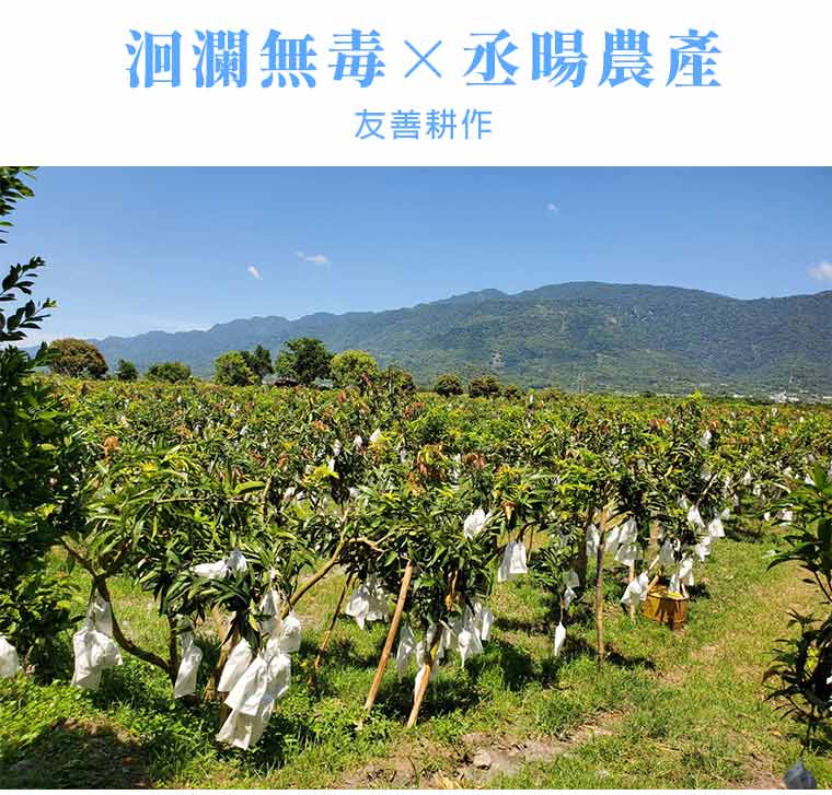 洄瀾無毒×丞暘農產-友善耕作