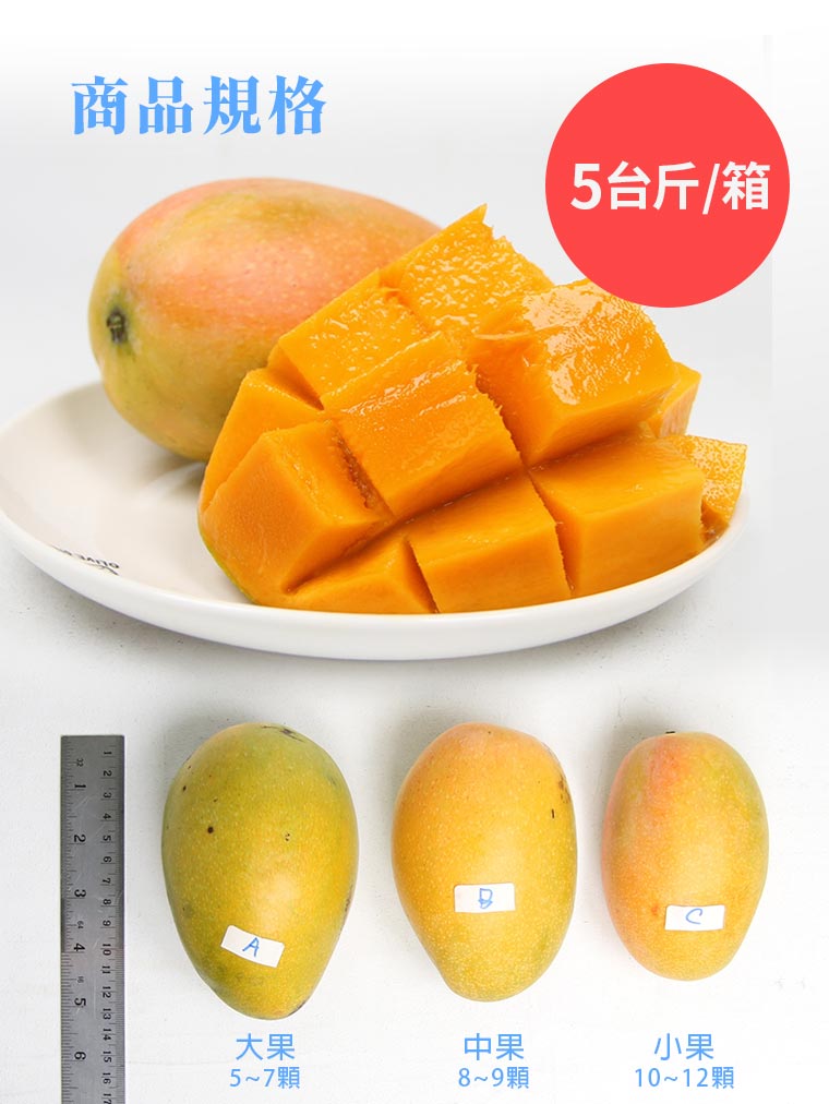 農場位置:花蓮縣玉里鎮大禹166號。經營項目:丞暘小館、丞暘農場、洄瀾無毒×丞暘體驗館