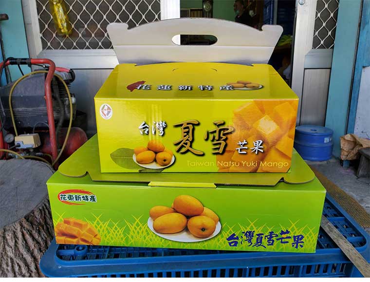 花蓮夏雪芒果-商品規格