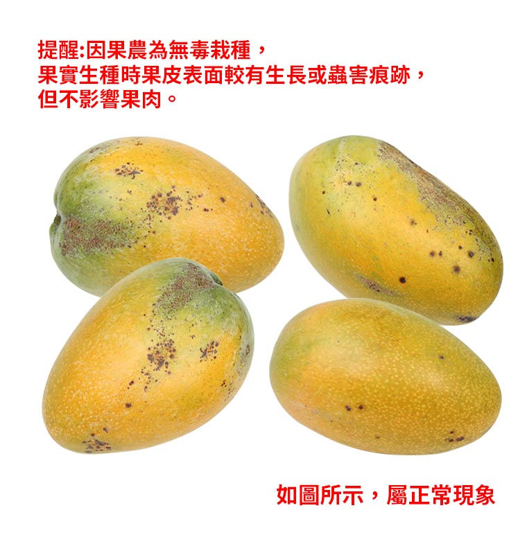 提醒:因果農為無毒栽種，果實生種時果皮表面較有生長或蟲害痕跡，但不影響果肉。